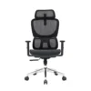 Dripex Ergonomic Office Chair